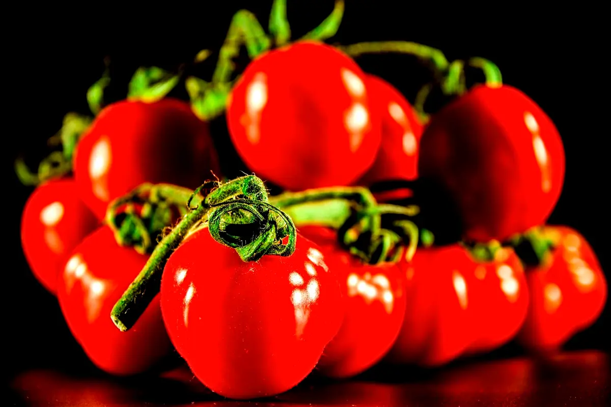 Viszlát, Sütő: Így Készíts Egészséges Pizzát 15 Perc Alatt