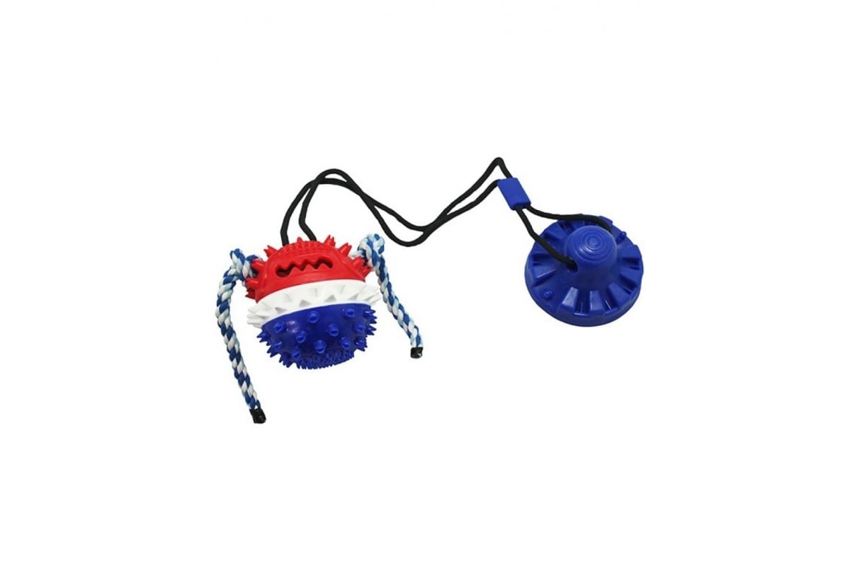 Ideális játékok kutyáknak a parkba: Szakértők ajánlásai