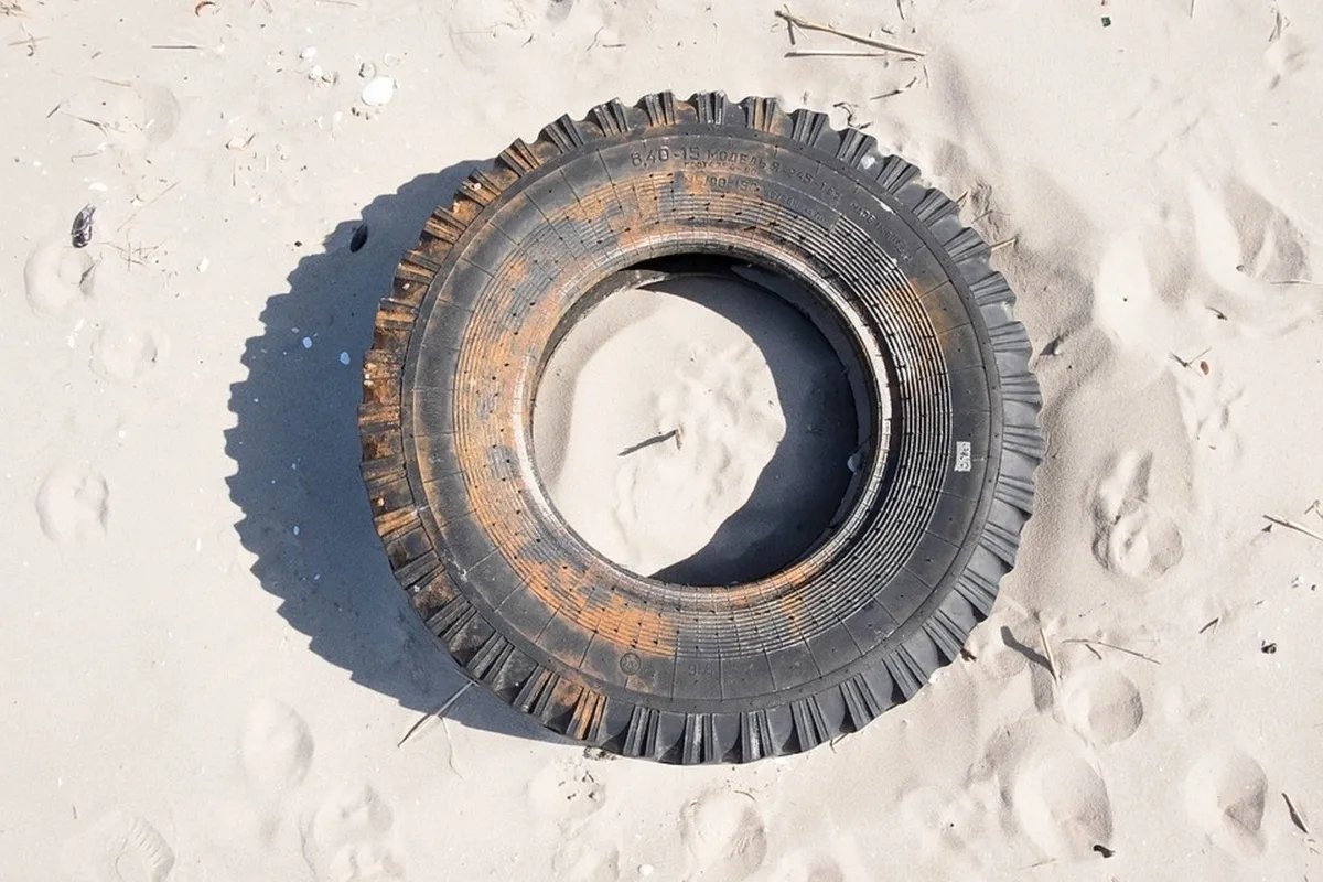 Ideális játékok kutyáknak a parkba: Szakértők ajánlásai