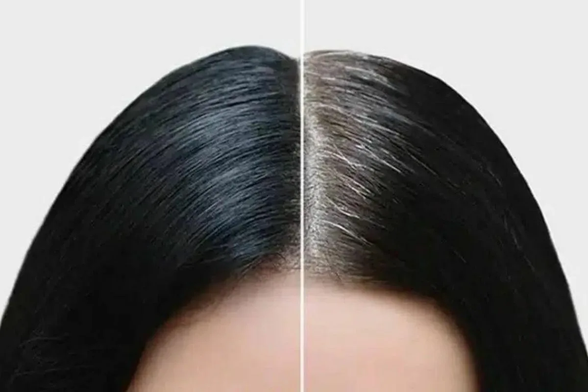 Hogyan tüntetheted el az ősz hajszálakat egy olcsó, hajápoló természetes festékkel