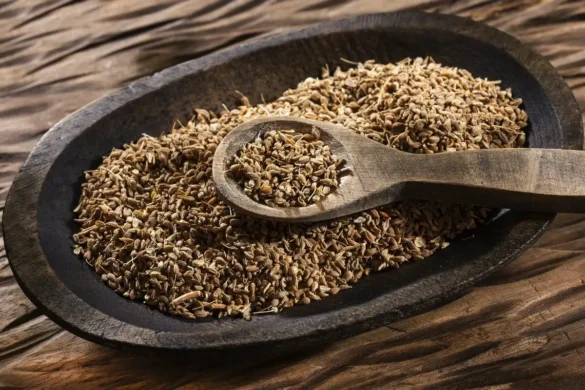 Gyógyító növények: Az ánizs emésztést segítő és egészségvédő hatásai