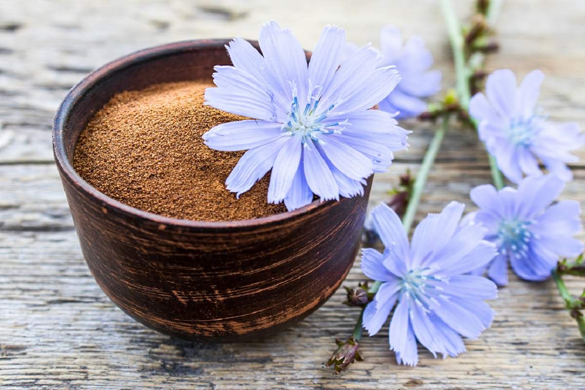 Cikória vagy kávé a diéta alatt: Melyiket válaszd, hogy olvadjanak a kilók?