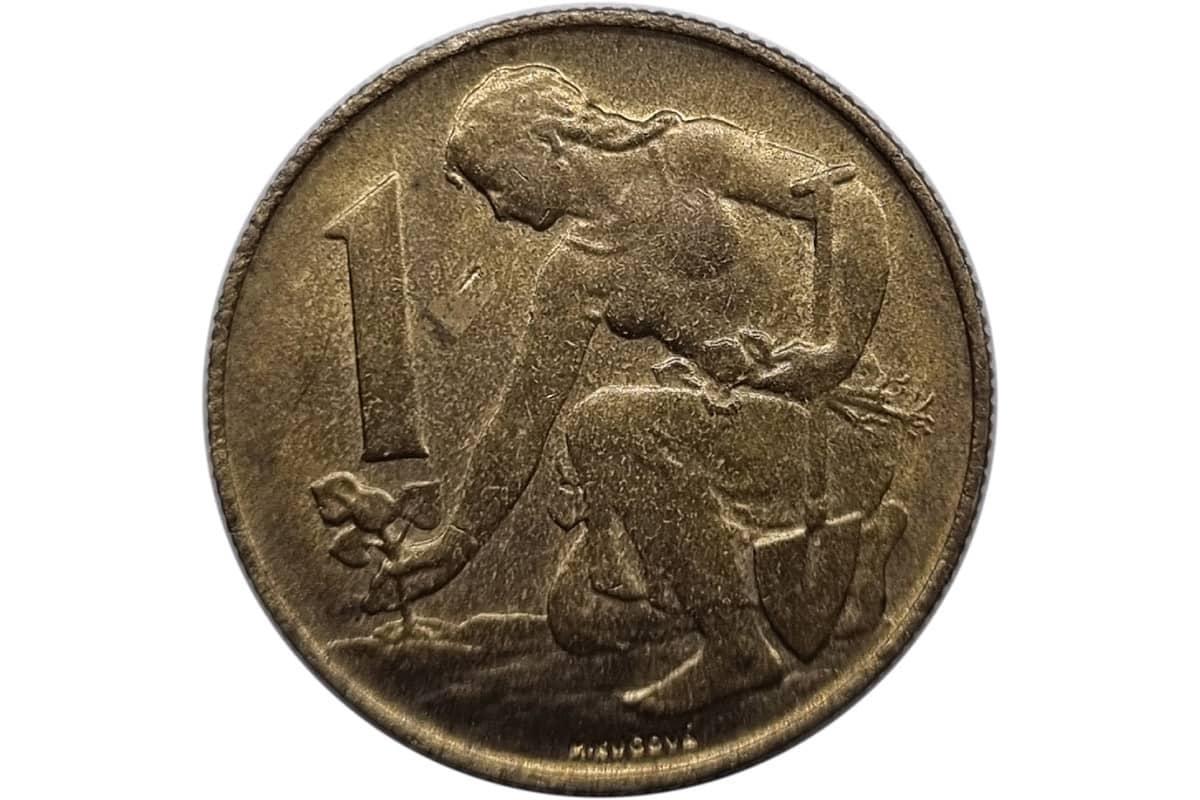 Miért tegyél egy érmét a virágcserépbe a Feng Shui szerint: Vonzd be a jólétet otthonodba!