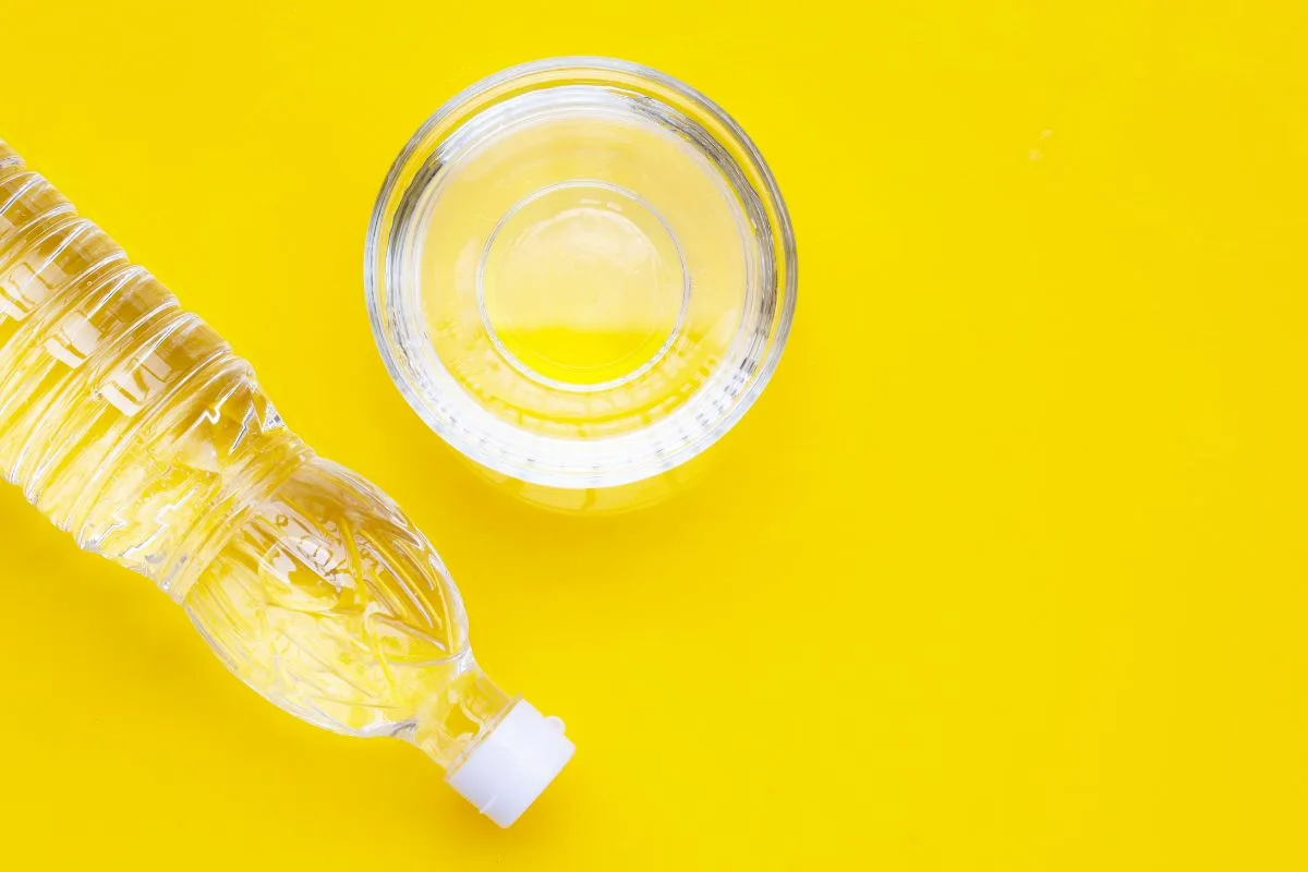 Hangyák és csótányok elűzése egyszerűen: Olcsó trükk a rovarmentes otthonért