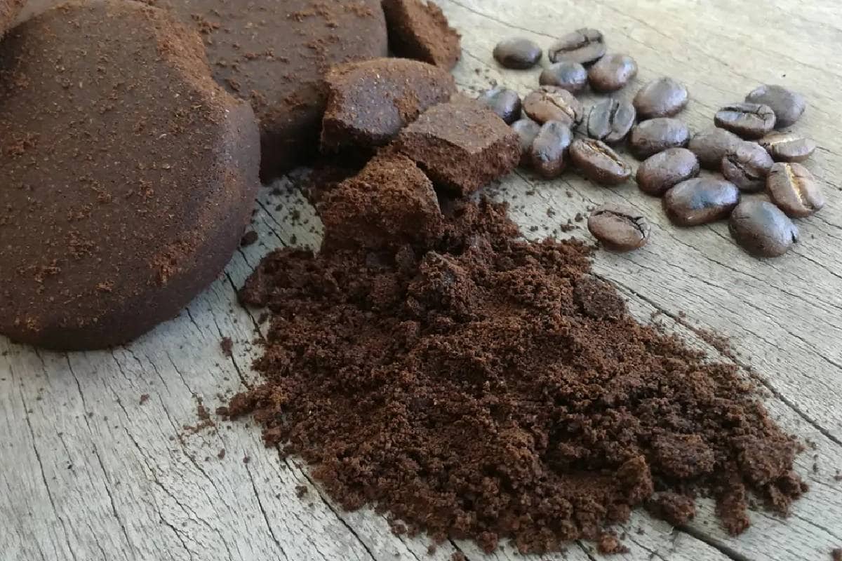 Kávézacc a vécébe: Egyszerű trükk a kellemetlen szagok ellen nyaralás előtt