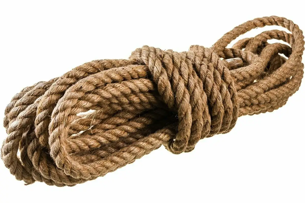 Készíts aranyos kaspókat konzervdobozokból a szukkulenseidnek: kreatív újrahasznosítás otthonra