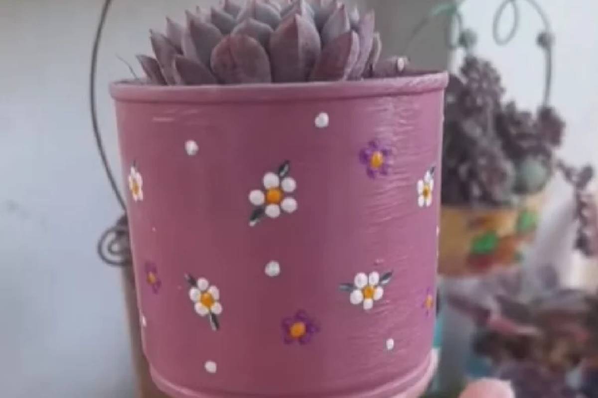 Készíts aranyos kaspókat konzervdobozokból a szukkulenseidnek: kreatív újrahasznosítás otthonra