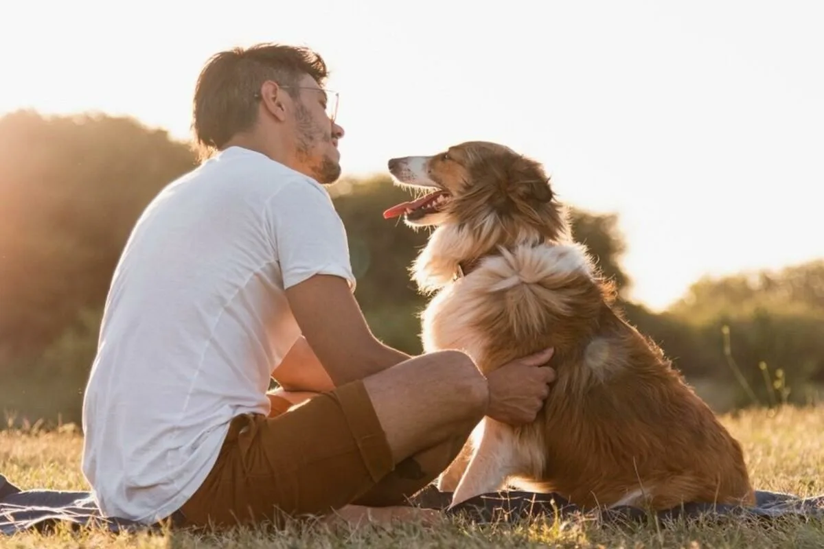 5 állatorvosi tipp, hogy elkerüld a kutya által ásott gödröket a kertben Magyarországon