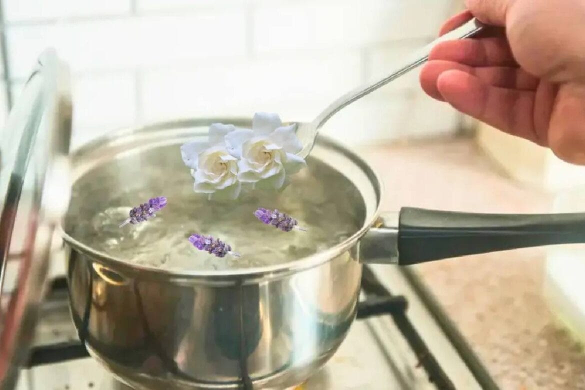 Miért érdemes jázmin- és levendulavirágot forralni, és mire jó ez?