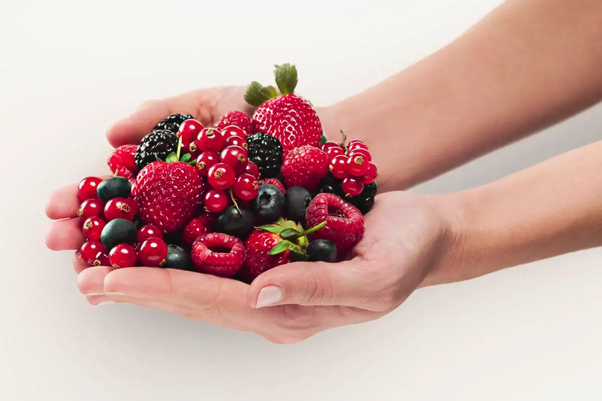 Bogyók az éles elméért: Miért ajánlják a neurológusok?