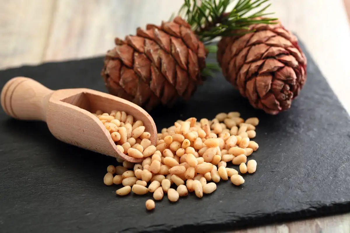 Gyógynövénytea minden nap: Meglepő változások, amiket a tested köszön majd