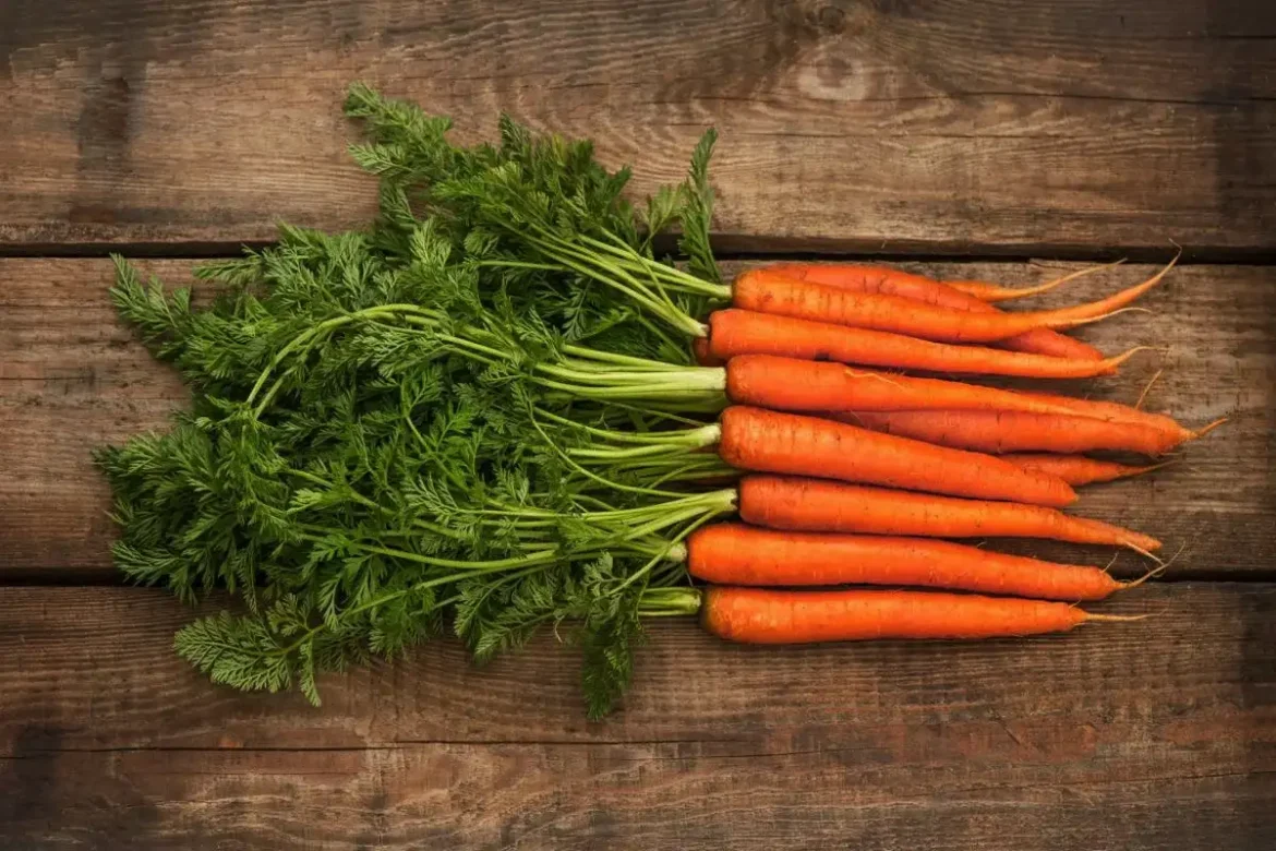 Sárgarépa tárolása: Így marad ropogós hetekig, hűtő és nejlonzacskó nélkül